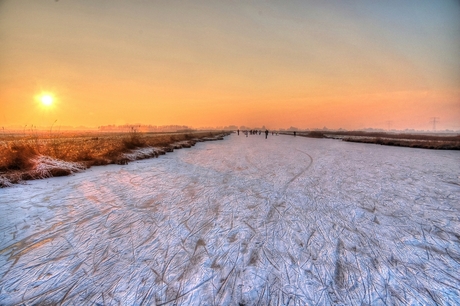 Hollandse Winter