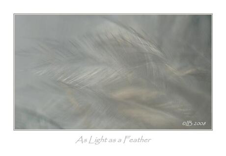 As light as a feather 2