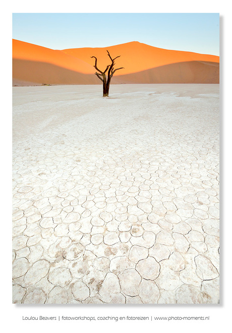 Dry earth