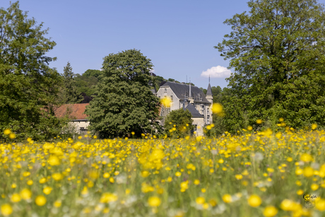 Kasteel Schaloen