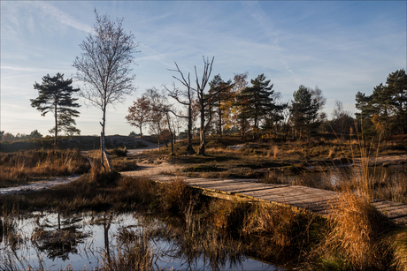 Rode-Beek, Brunssumerheide