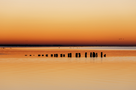 pure sunset waddenzee