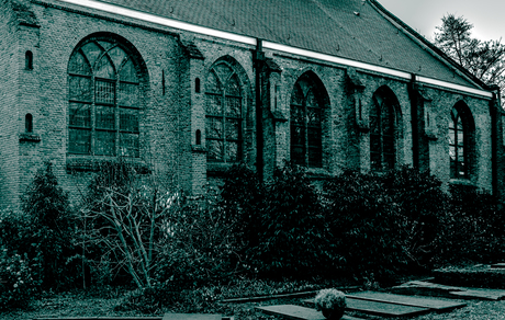 In de schaduw van het gesternte