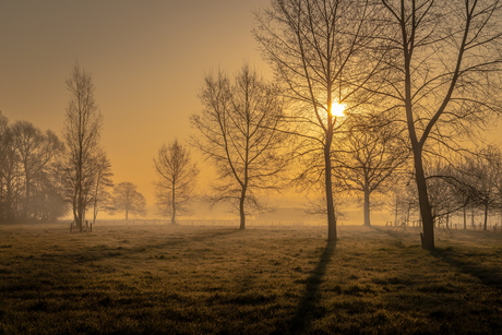 Mist in Brabant
