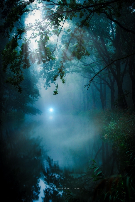 Mystic forest waters