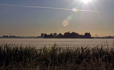 Landschap in ochtendzon.