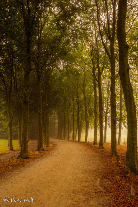 Ledeboerpark - Enschede