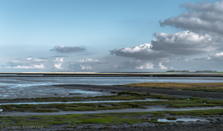 Waddenzee