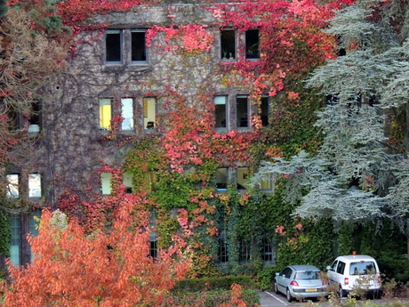 herfstkleuren in luxemburg stad.jpg