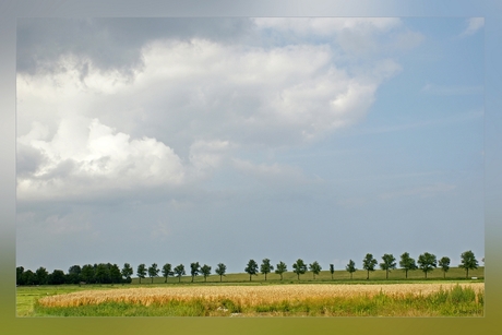 Landschapje in Delzijl.