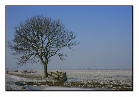 zoek de molen............