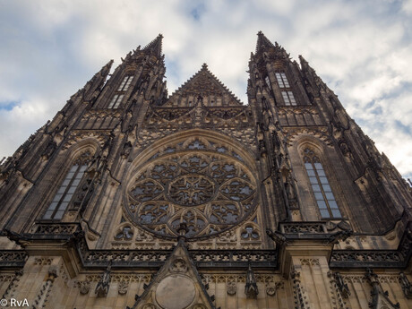 St. Vit Cathedral II - Praag