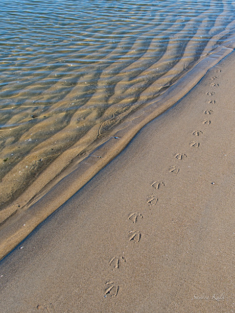 Sporen in het zand 