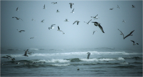 Waddenzee