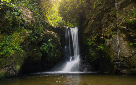 Waterval in een sprookjesachtig bos