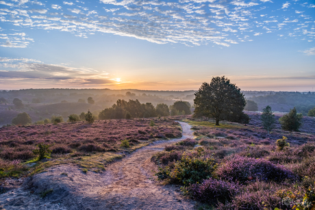 Zonsopkomst op de Veluwe 