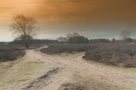 Heide Eemnes/Hilversum