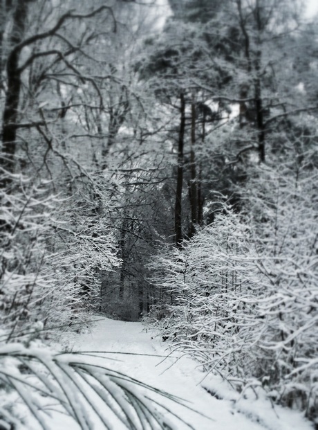 Winters tunnel