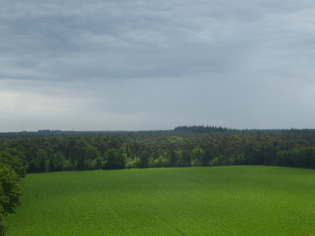 Landschap 1