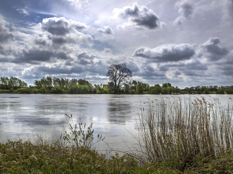 Langs de IJssel