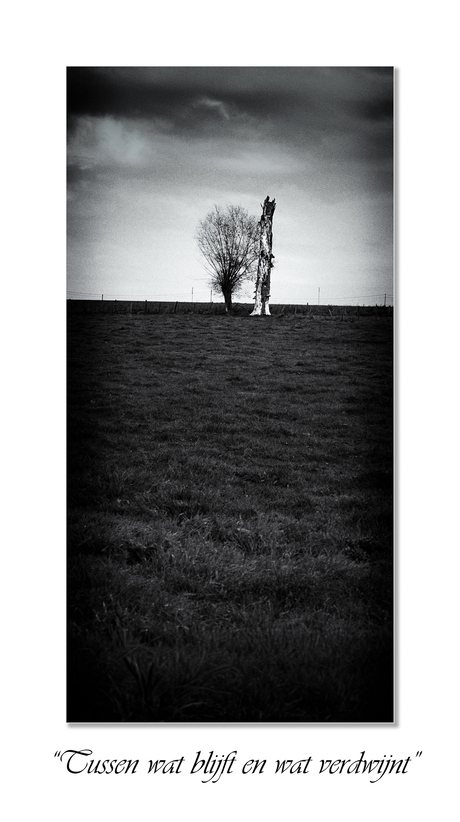 Tussen wat blijft en wat verdwijnt