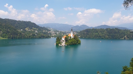 Bled