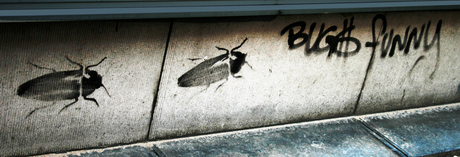 bugs funny street spam