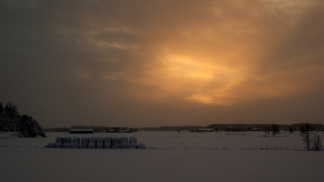 Finland winter landschap