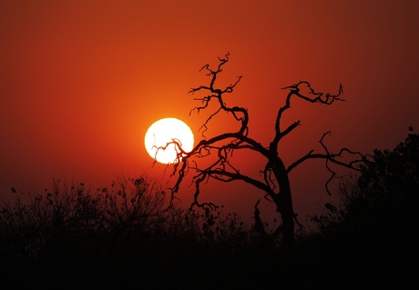 African sunrise