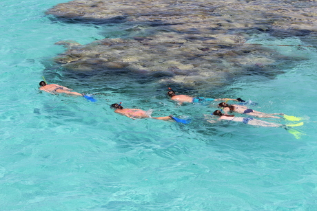 Snorkelen in Egypte