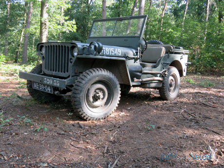 Willy JeeP WO2 kleur