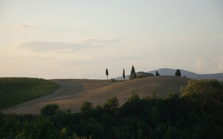 Toscane