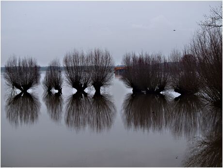 Hoog water.