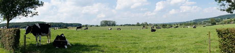 Panorama Epen.jpg