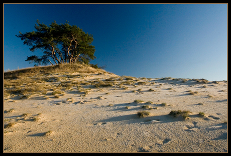 Kootwijkerzand