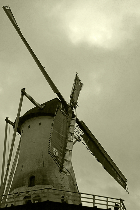 Witte Molen