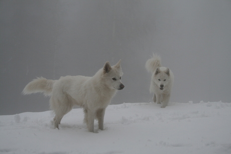 Yaira en Esdah op wintersport