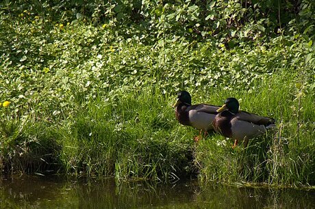 Wat een gezelligheid