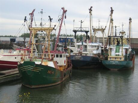 Vissersvloot in Lauwersoog