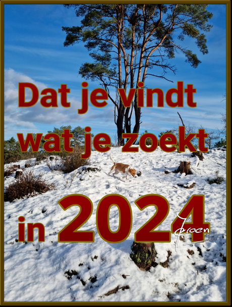 Oud & Nieuw 2023 - 24