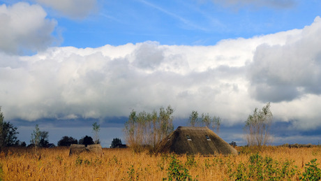 Kleurend rietland bij regendreiging