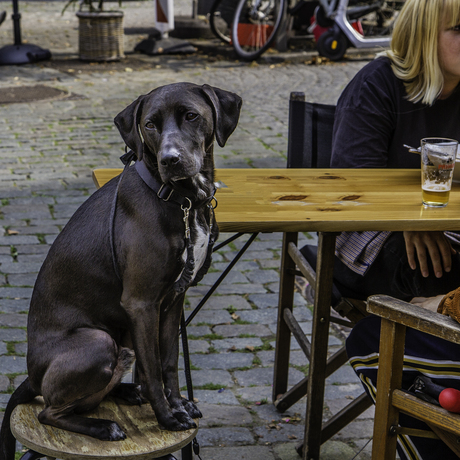 voor mij ook een biertje