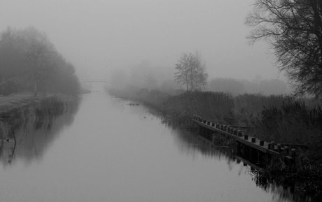 Brouillard gris.