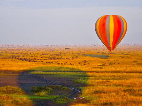 Hot air balloon