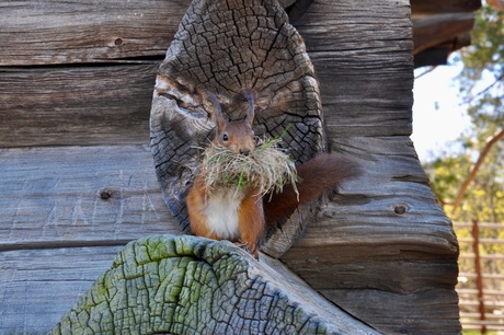 Are you talking to me?