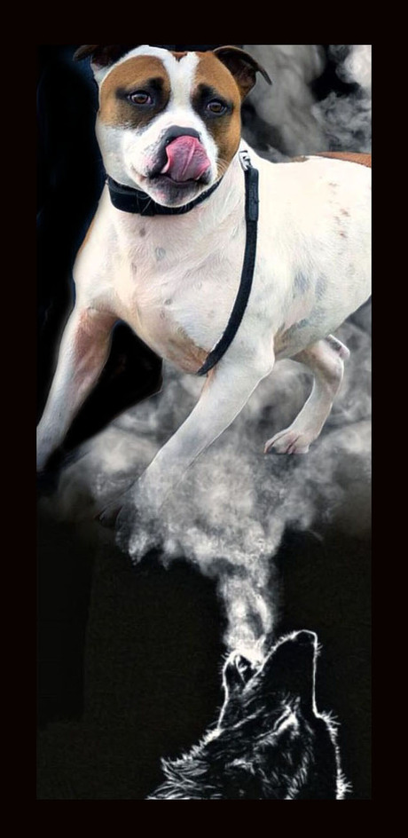 een mens kan zitten...............