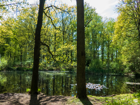 Natuur 