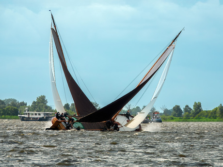Dansje op het water.