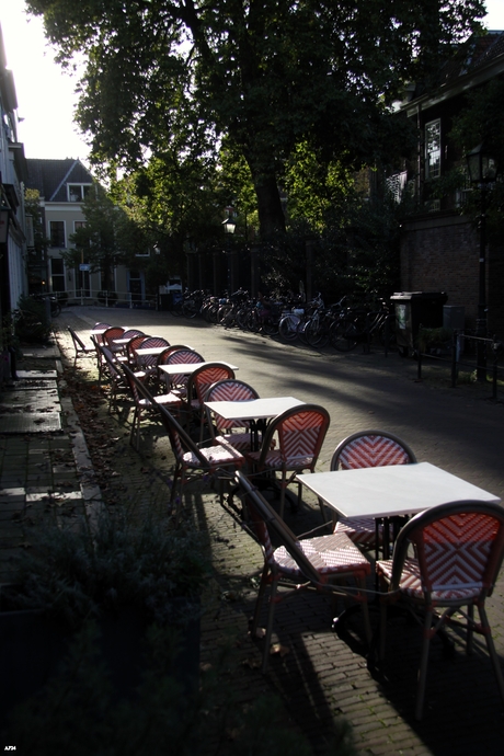 De laatste zonnestralen 