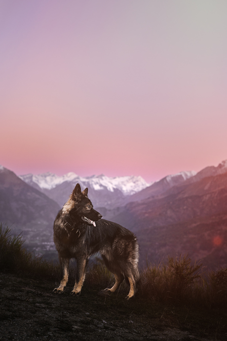 Zonsopgang in de bergen!